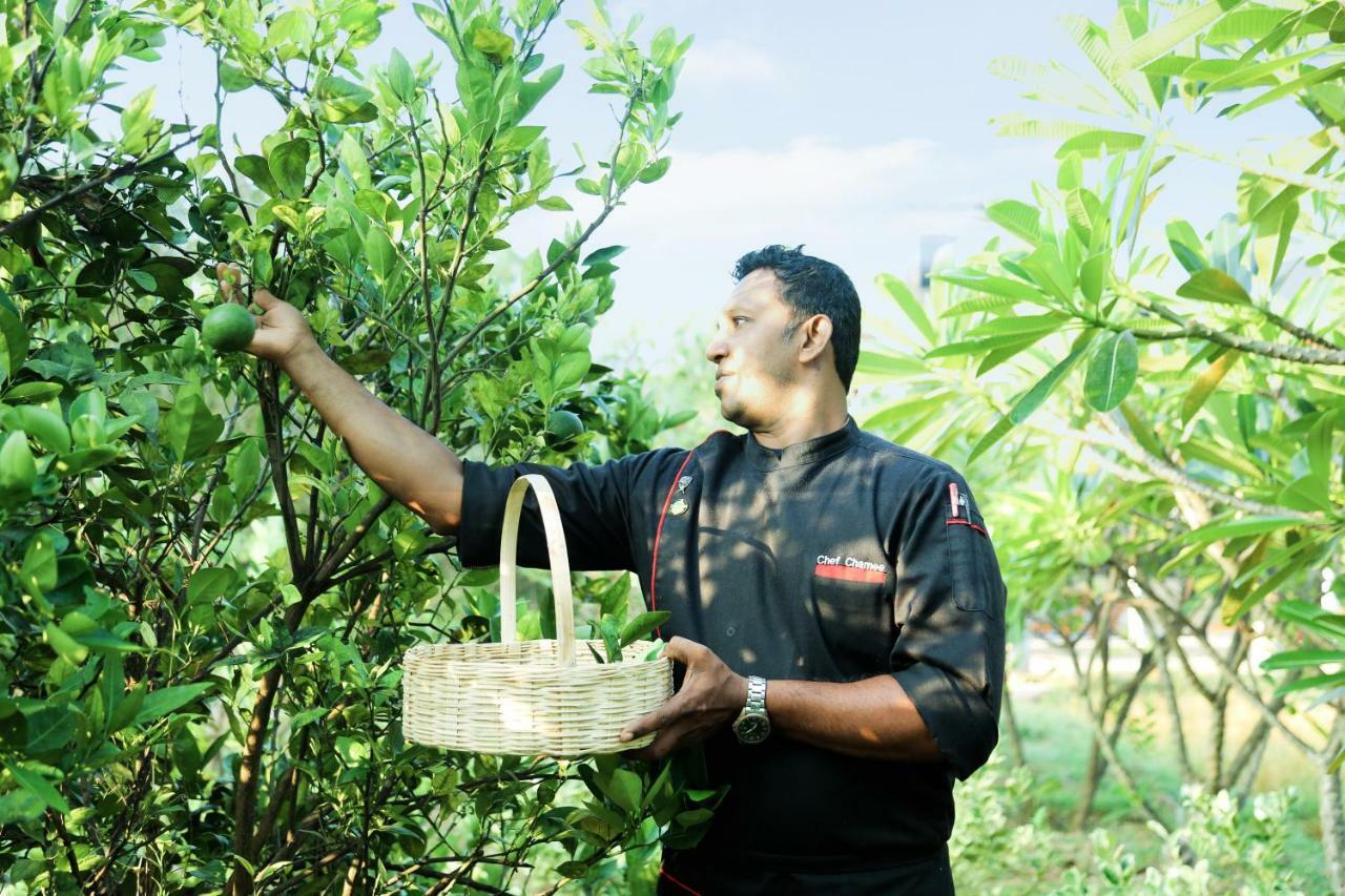 Avasta Resort And Spa Anuradhapura Eksteriør billede